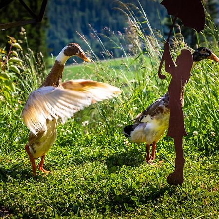 فيلا Gschwandtgut Urlaub Am Bauernhof Schwemmberg المظهر الخارجي الصورة