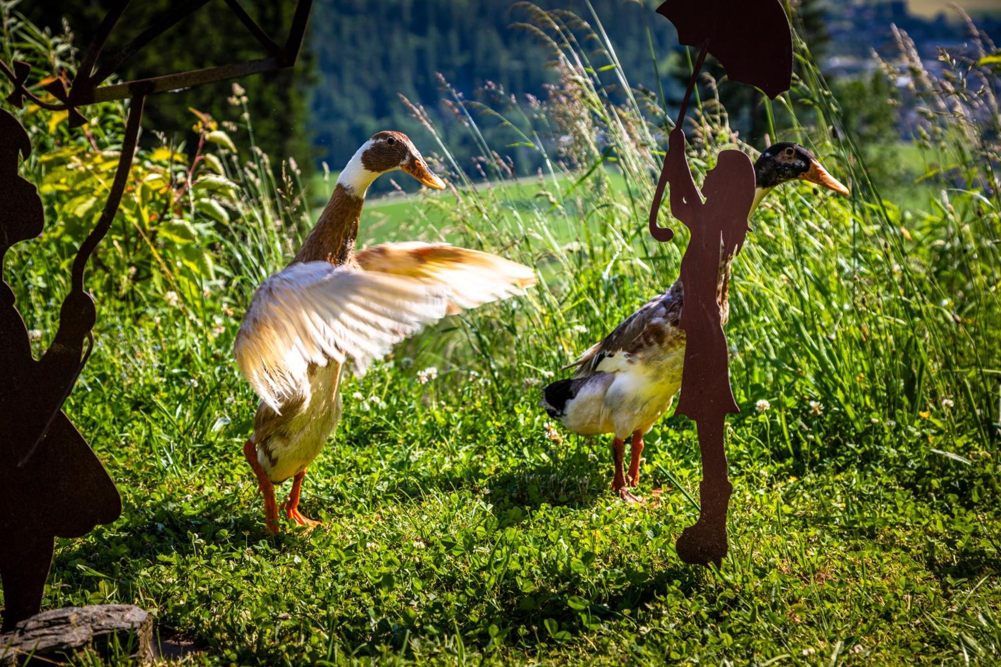 فيلا Gschwandtgut Urlaub Am Bauernhof Schwemmberg المظهر الخارجي الصورة