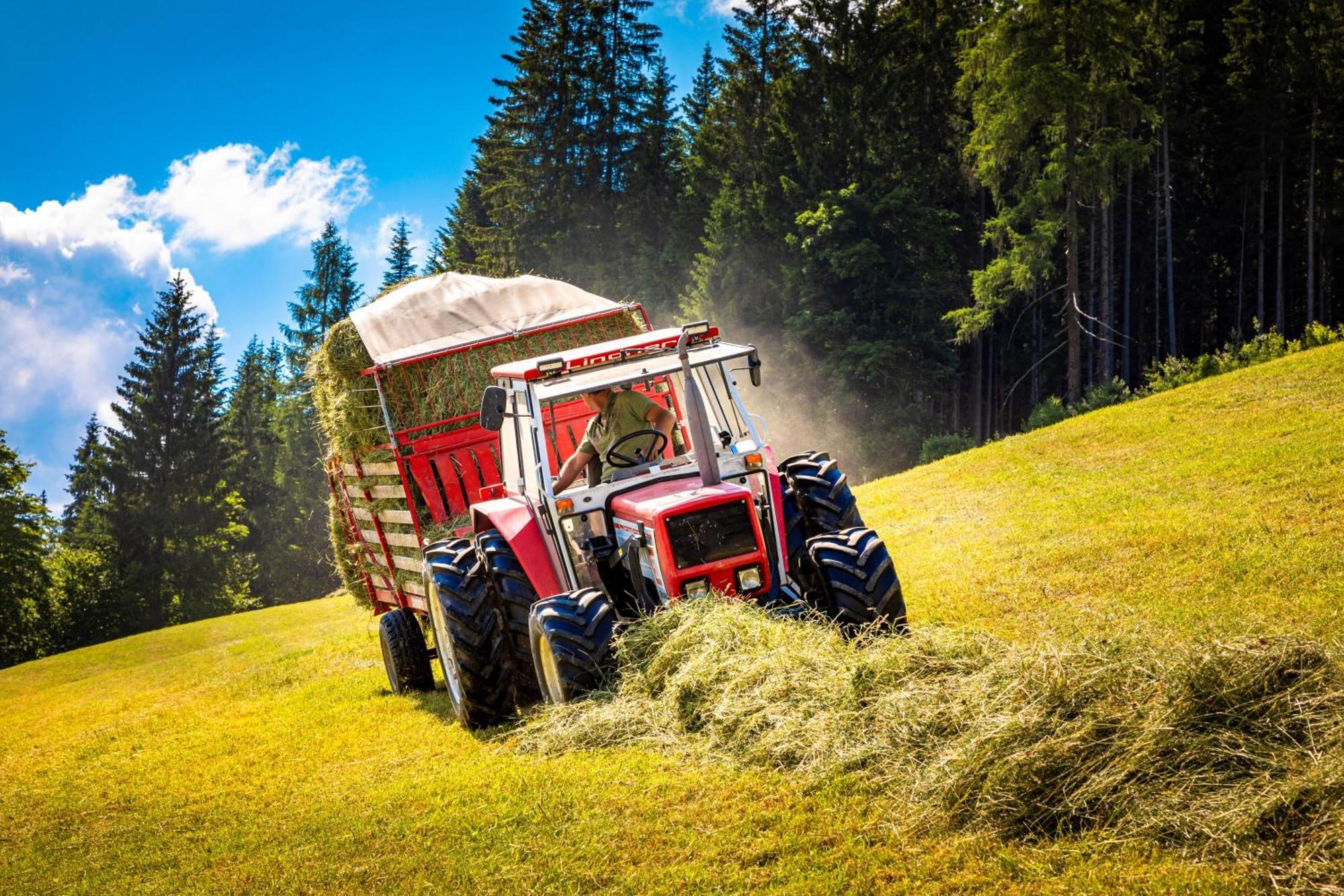 فيلا Gschwandtgut Urlaub Am Bauernhof Schwemmberg المظهر الخارجي الصورة